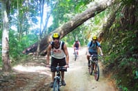 Full-Day Advanced XC Downhill Biking at Doi Suthep National Park Chiang Mai 4