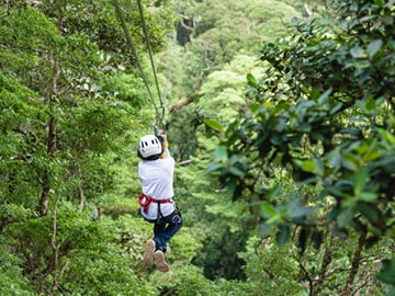 Skyline Jungle Luge & Zipline