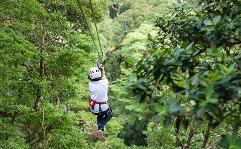 Skyline Jungle Luge & Zipline