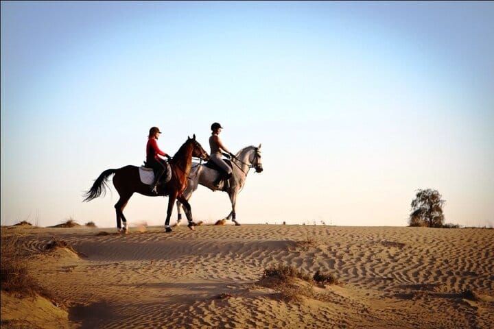 One-Hour Beach Horse Riding with Transfer from Hurghada