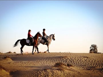 Beach Horse Riding Experience in Hurghada with Transfers