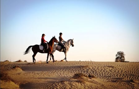 One-Hour Beach Horse Riding with Transfer from Hurghada