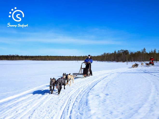 Become A Husky Musher in Lapland – Upgraded photo 2