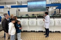 Olive Oil Tours and Tasting at Frantoio di Montalcino 1