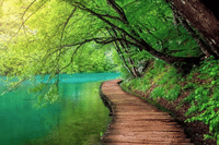 Private - Split to Zagreb with Plitvice lakes tour 6