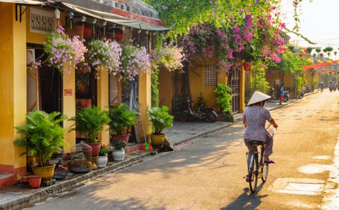 Hoi An Ancient Town and Cam Thanh Basket Boat Tour