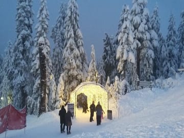Private Adventure Tour of Grouse, Cypress, and Mount Seymour
