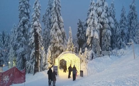 Private Adventure Tour of Grouse, Cypress, and Mount Seymour