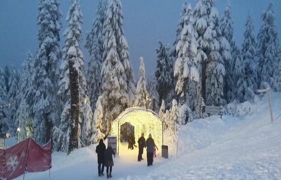 Vancouver Mountain to Mountain (Grouse,Cypress,Mount Seymour) Private
