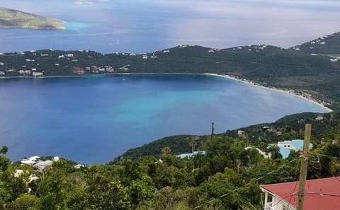 St. Thomas Half-Day Beach Tour: Explore Top Island Beaches