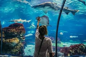 Amazing Tour To Grand Aquarium Hurghada With Transfer In Hughada