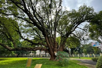 Buon Ma Thuot Cultural and Coffee Heritage Tour