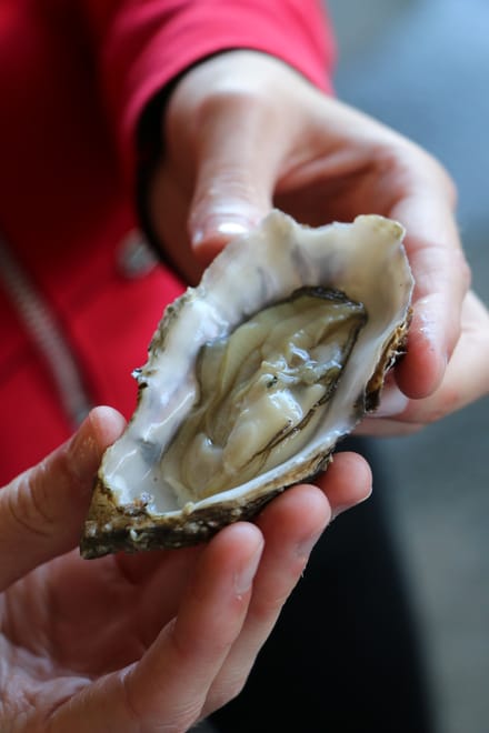 Guided tasting bike ride between Saint-Malo and Cancale 7h 6
