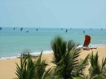 Seven-Day Beach and Hill Country Tour in Colombo, Sri Lanka