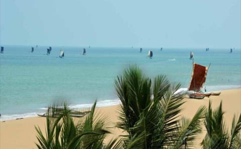 Seven-Day Beach and Hill Country Tour in Colombo, Sri Lanka