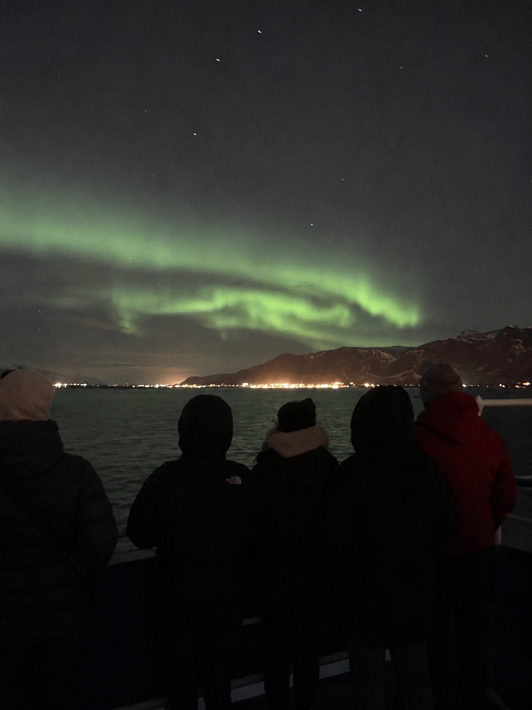 Silhouettes of passengers on a boat deck watching pale green Northern Lights above the horizon.