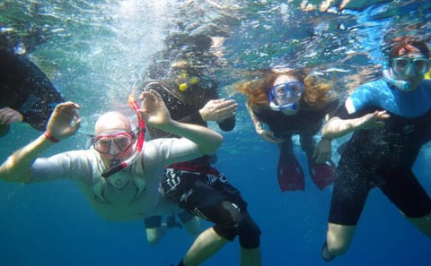 Snorkeling Adventure at Eden Island in Hurghada, Egypt