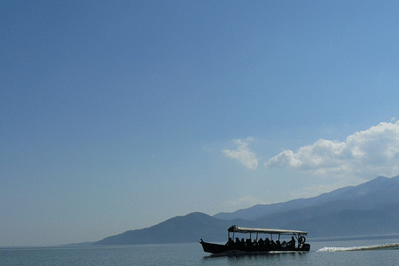 Private Day Trip to Kerkini Lake