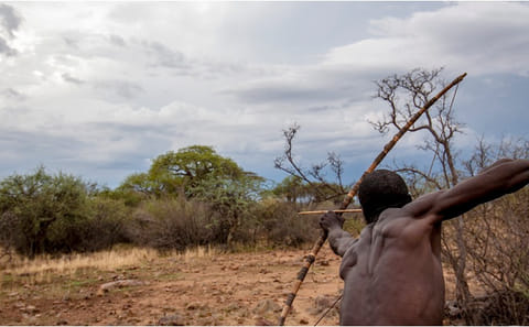 Hadza tribe immersive experience