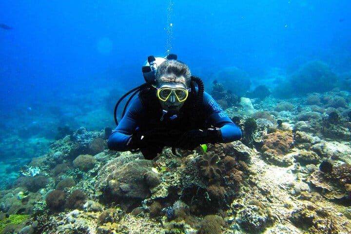 Scuba Diving Sea Trip with Lunch and Transfer from Hurghada