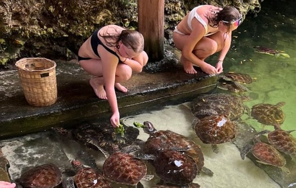 Swim with Sea Turtles at The Lagoons Zanzibar