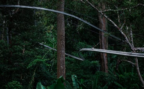 Phuket Hanuman World Zip Line Adventure