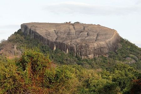 Pidurangala Rock Adventure Tour From Colombo with Delicious Sri Lankan Lunch