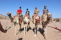 Hurghada : Super Safari Adventure ATV Quad, Dinner & Camel Ride 6