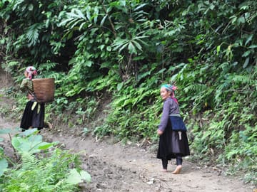 Trekking Adventure in Ba Be National Park, Vietnam