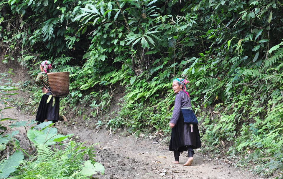 Trekking Adventure in Ba Be National Park, Vietnam