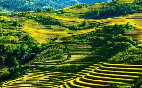 Dong Van Loop Car Tour: 2-Day Adventure in Ha Giang