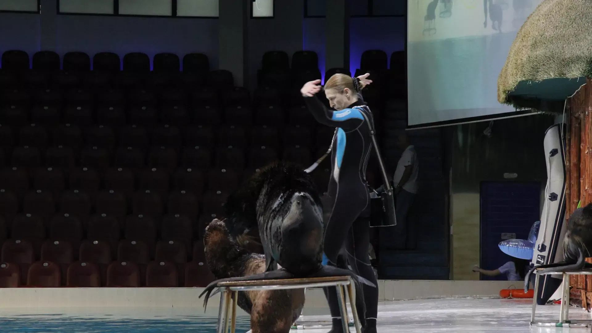 A trainer stands beside a pool with seals performing in front of tiered seating at Dubai Dolphinarium.