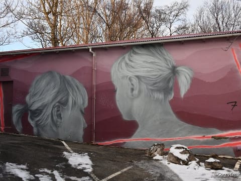Reykjavik Street Art Backstreets and Stories , photo 4