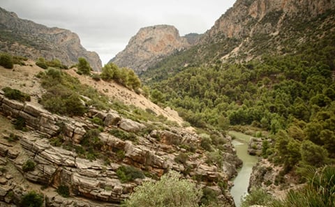 From Malaga: Caminito del Rey private hiking