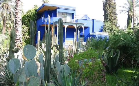 Majorelle Garden and Yves Saint Laurent Museum Tour in Marrakech