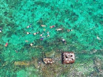Snorkeling Tour with Shipwreck and Iguana Farm in Coxen Hole