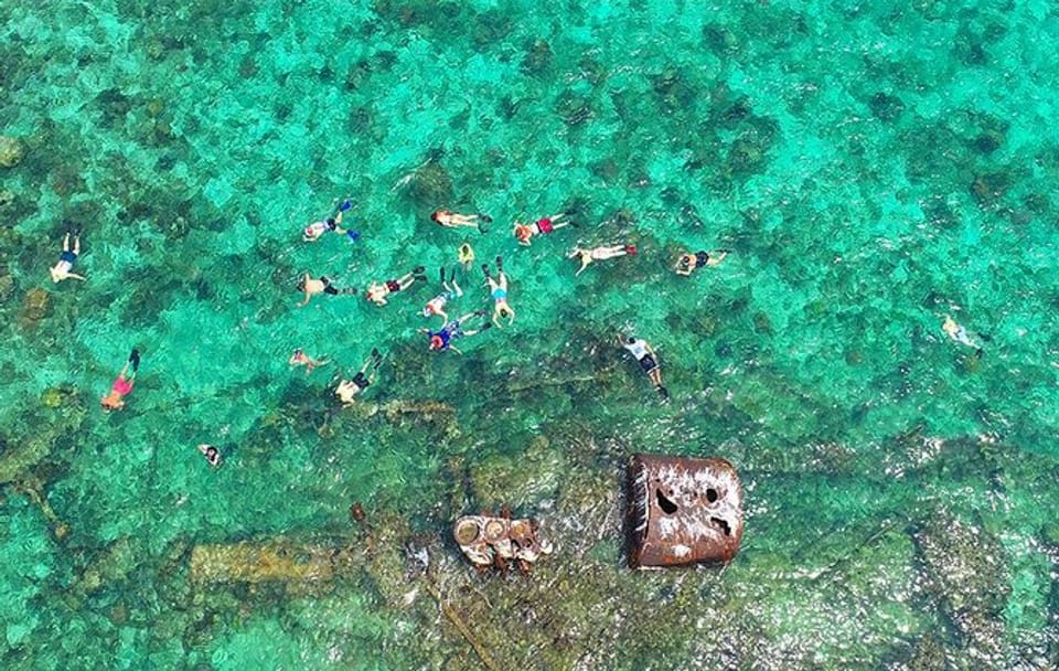 Snorkeling Tour with Shipwreck and Iguana Farm in Coxen Hole