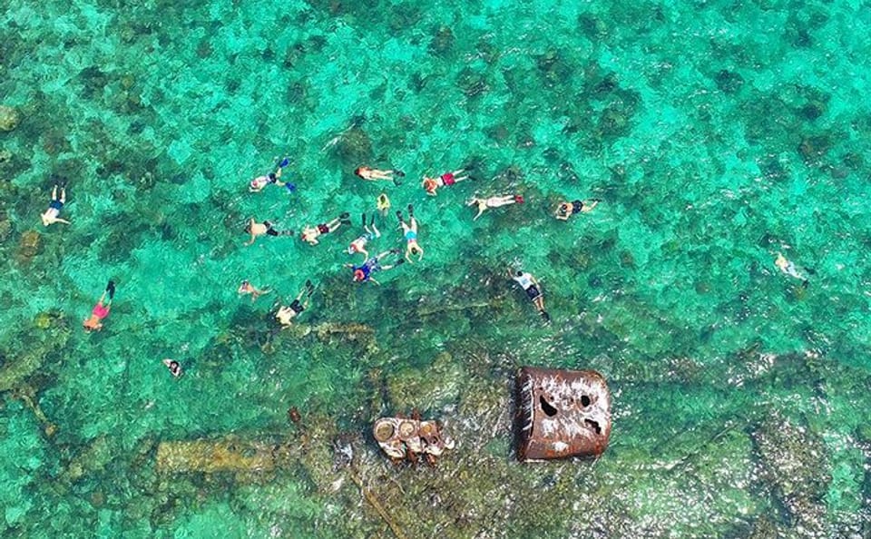 Snorkeling Tour with Shipwreck and Iguana Farm in Coxen Hole