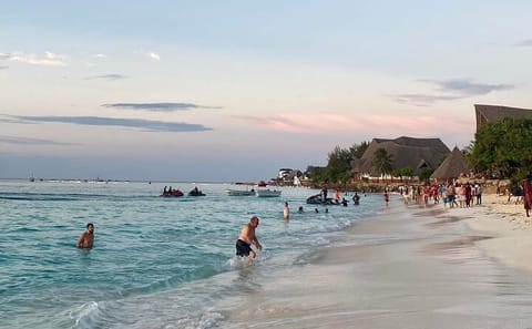8-Day Safari and Beach Experience in Tanzania and Zanzibar