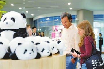Panda Breeding Center and Chengdu City Tour