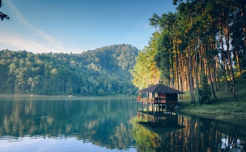 Cultural and Nature Tour of KMT Village and Pha Sua Waterfall in Chiang Rai
