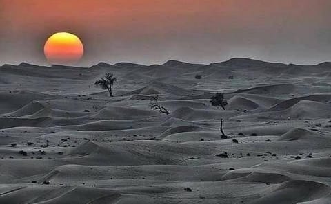 Five-Day Private Adventure from Tangier to Marrakech
