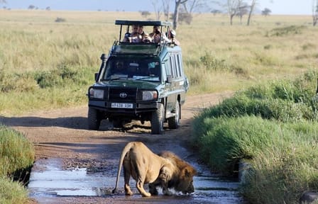 Private Luxury Safari in Samburu National Reserve, Kenya