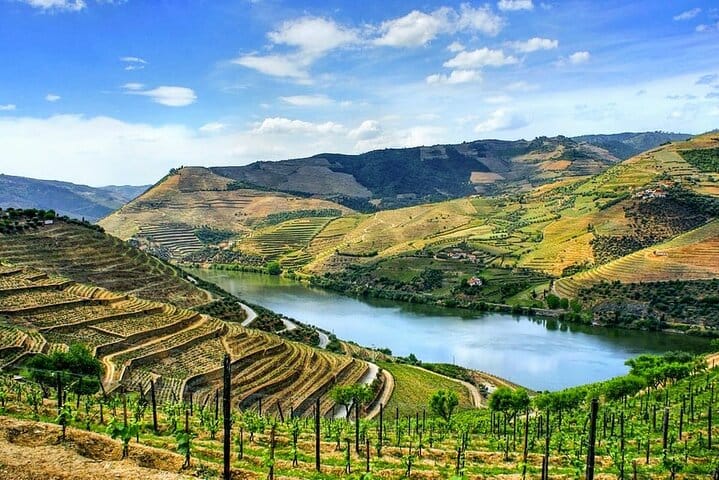 Porto to Douro Valley Private Transfer Up to 4 Stops 10