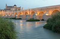 TOP Cordoba : Private Guided Tour with your mobile 7