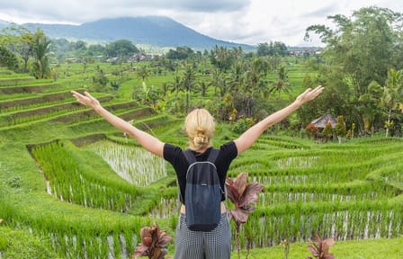 Explore Hidden Waterfall and UNESCO Rice Terraces in Bali