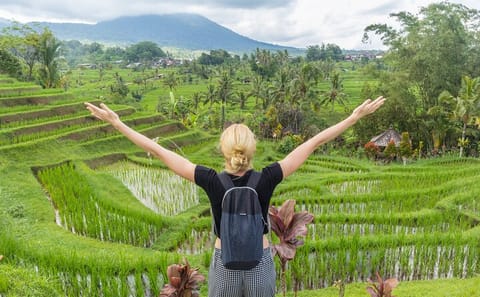 Explore Hidden Waterfall and UNESCO Rice Terraces in Bali