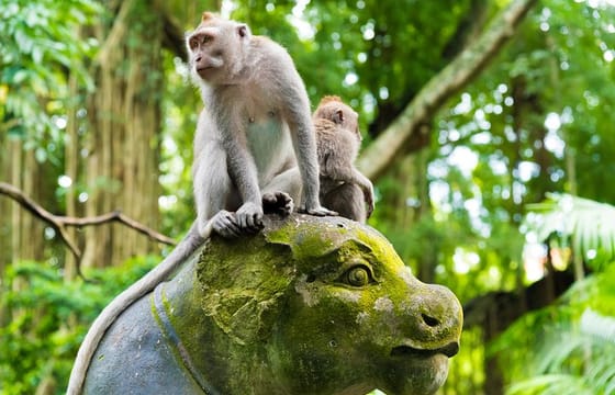 Pick 5 Destinations: Customized Ubud Tour