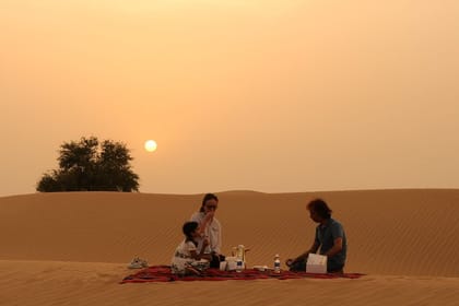 Dubai Private Sunset Desert Drive with Wildlife Experience