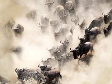 6 Days Wildebeest Migration Kenya Safari
